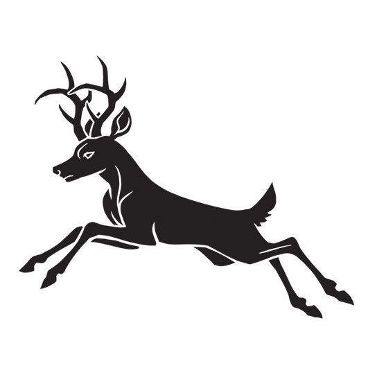 544x544 Deer Temporary Tattoo