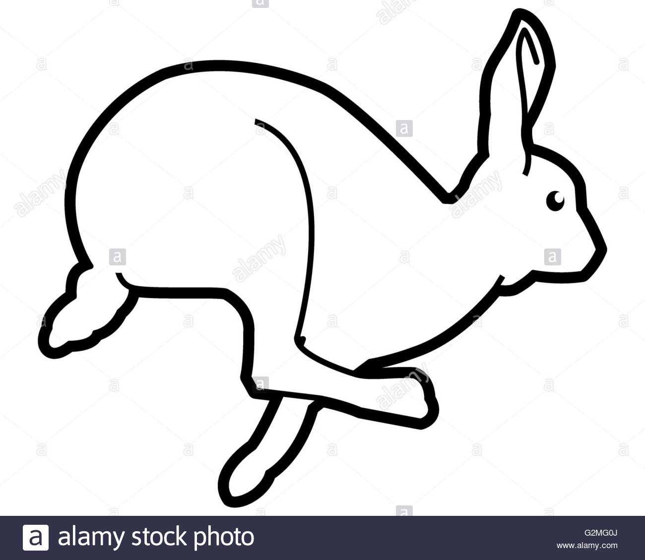 1300x1129 Jumping Rabbit On White Background Stock Photo 104943122