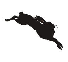 220x200 Original Painting Bunny Rabbit Silhouette In Acrylics Bunny