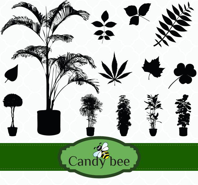 640x600 Plant Amp Leaves Silhouette Digital Clip Art Saj 392 Clip Art