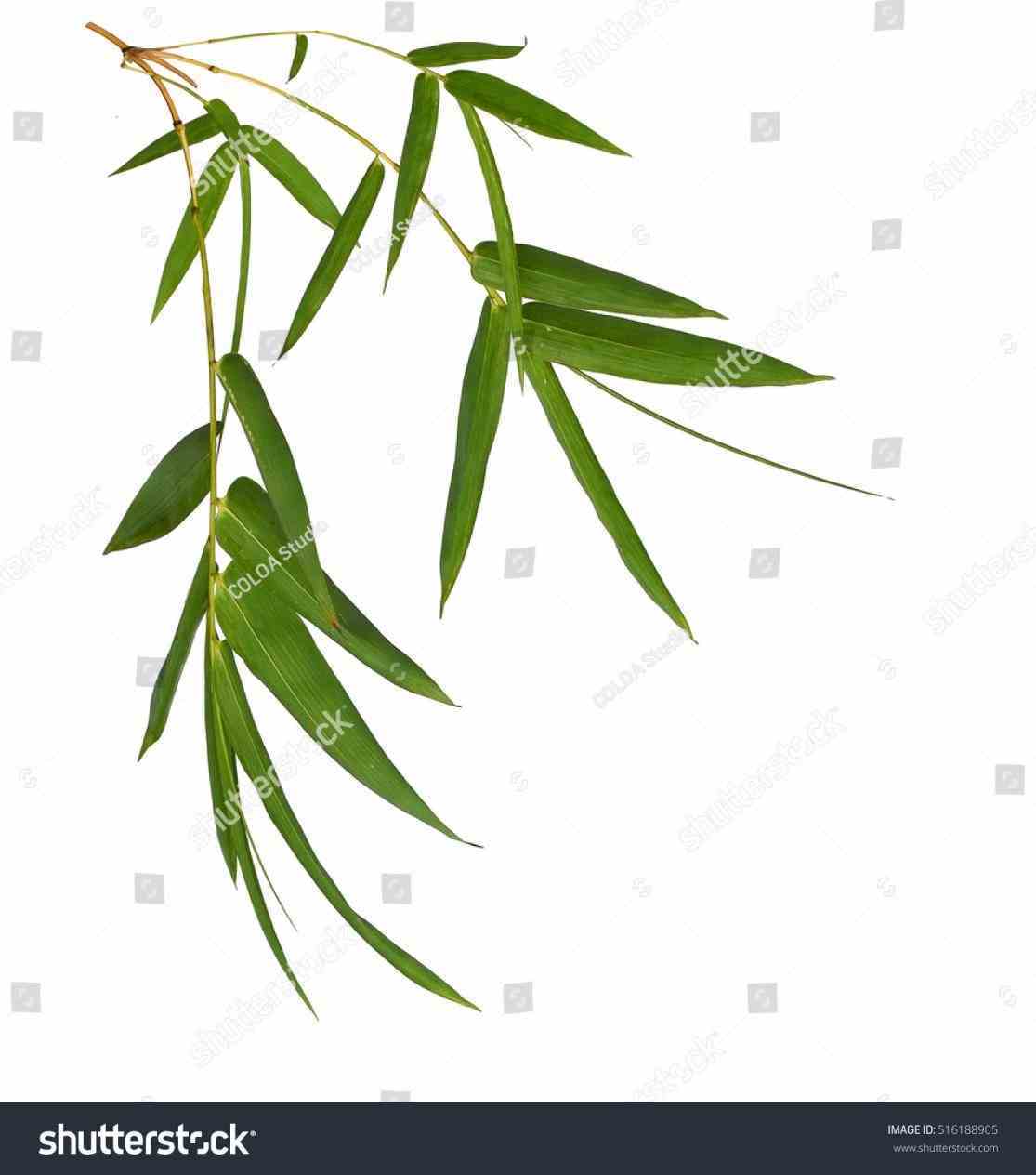 1115x1264 Bamboo Leaves Clip Art Silhouette Vector Silhouettes