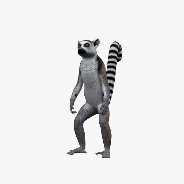 600x600 Lemur Clipart Animated