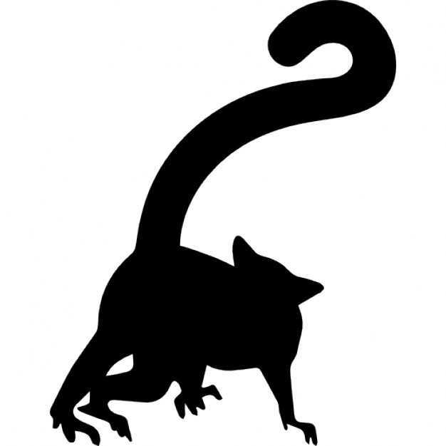 626x626 Lemur Shape Icons Free Download
