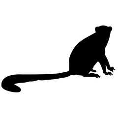 240x240 Search Photos Indris