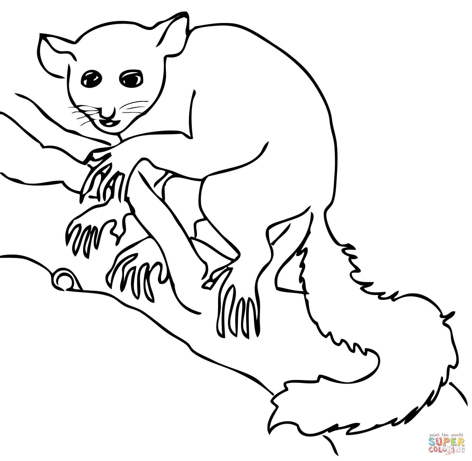 1500x1464 Aye Aye Lemur Coloring Page Free Printable Coloring Pages