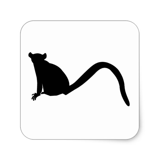 540x540 Lemur Silhouette Square Sticker Zazzle.ca