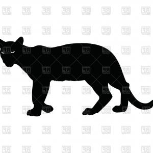 300x300 Photostock Vector Leopard Silhouette Gepard Panther Createmepink