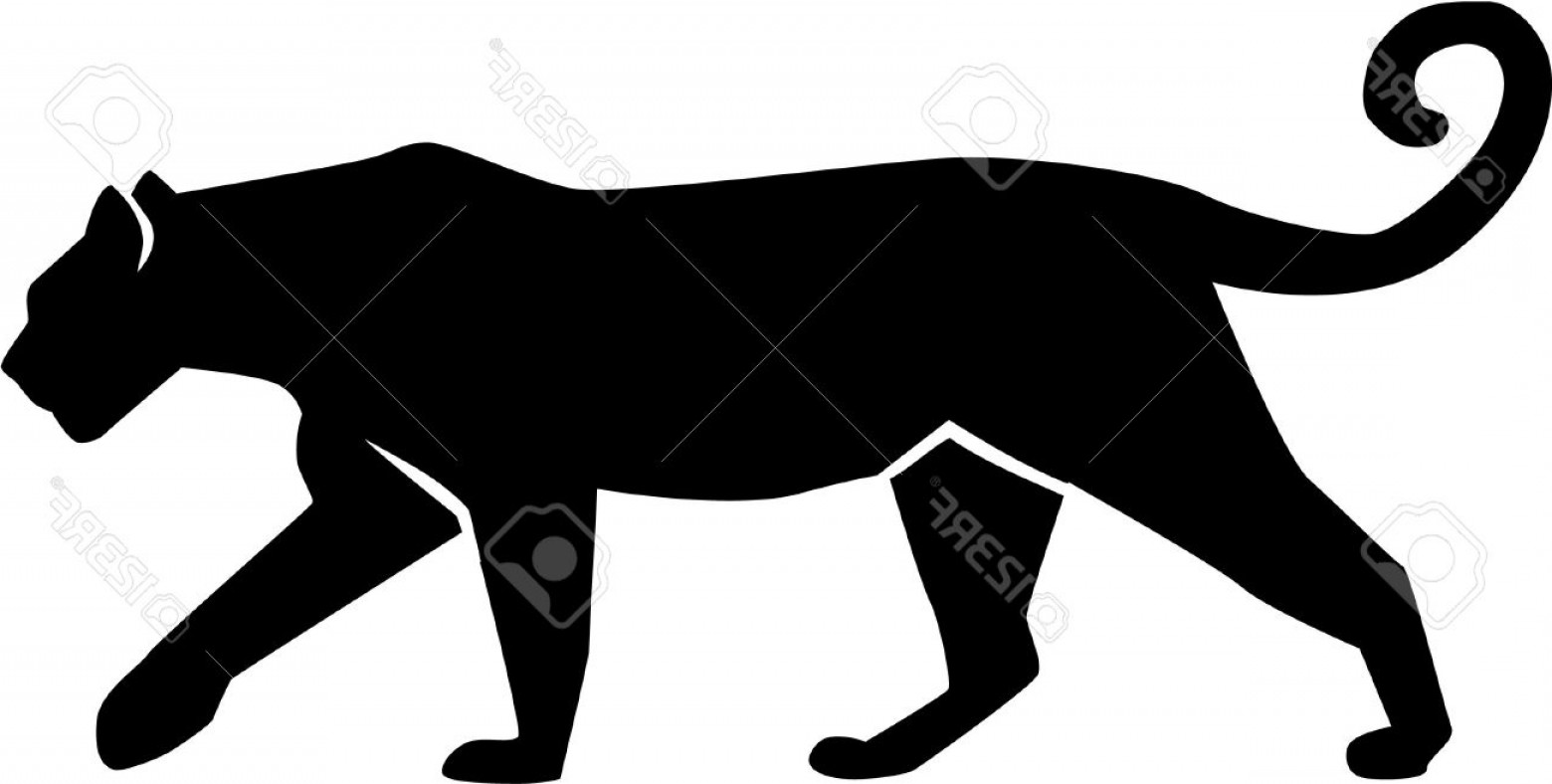 1560x788 Photostock Vector Leopard Silhouette Gepard Panther Lazttweet