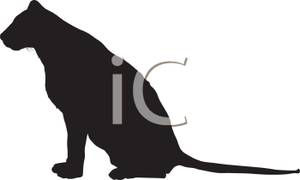 300x180 Picture Silhouette Of A Leopard