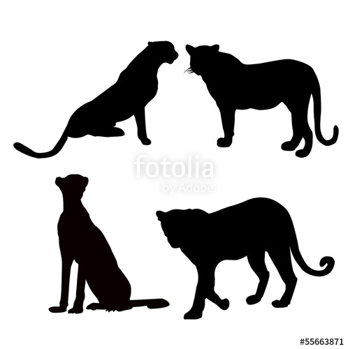 498x500 Leopard Silhouette Stock Image And Royalty Free Vector Files