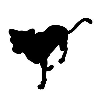 340x340 Free Silhouettes Mammals, Animal