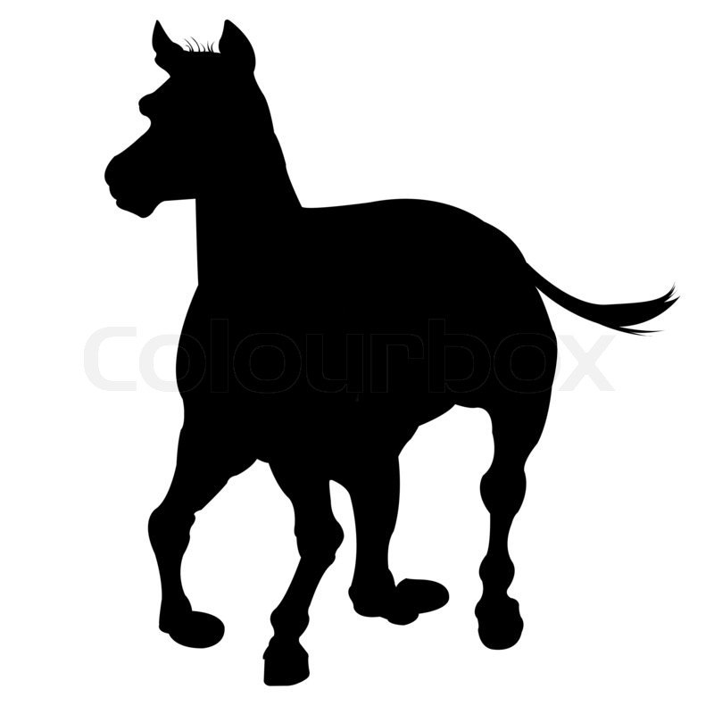 800x800 Horse Silhouette Isolated On White Background, Abstract Art