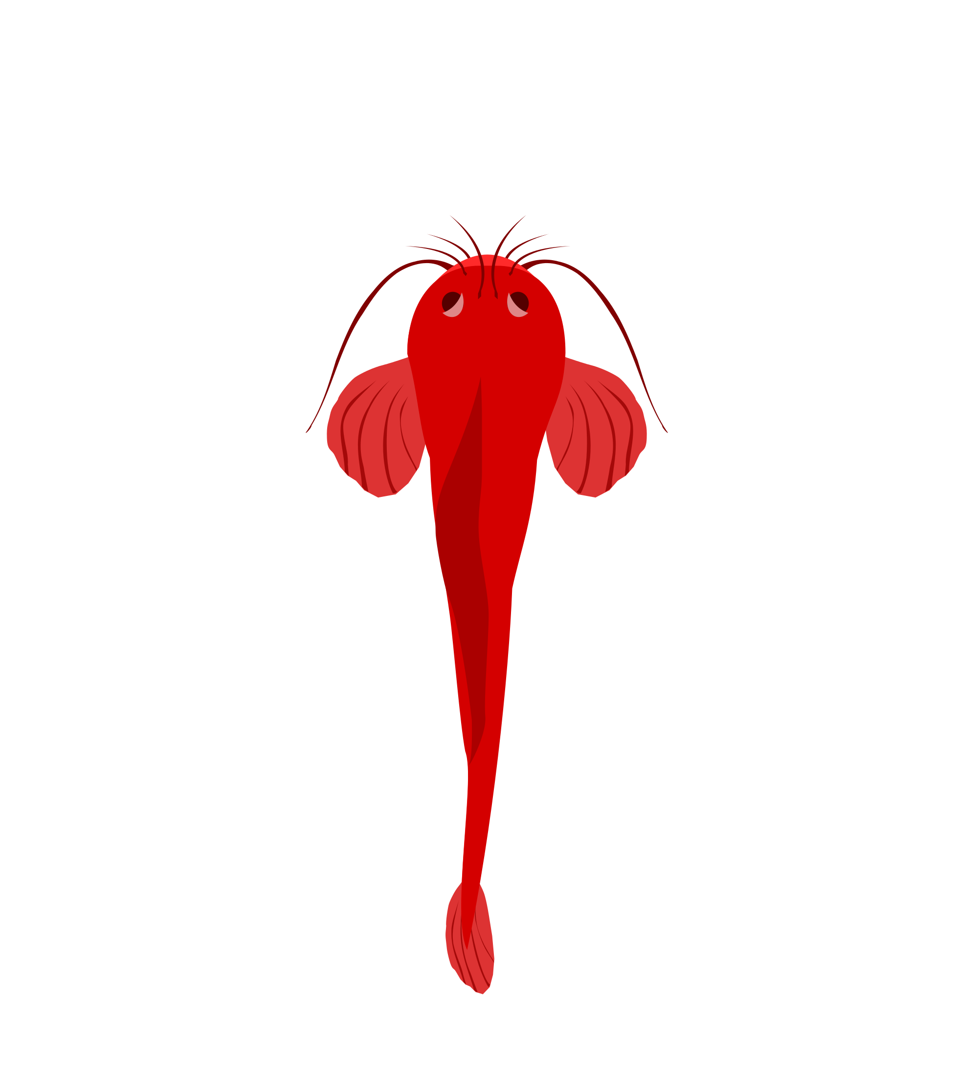 2000x2200 Filemeuble Chabot.svg