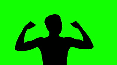 400x224 November 2012 Bob Schwartz