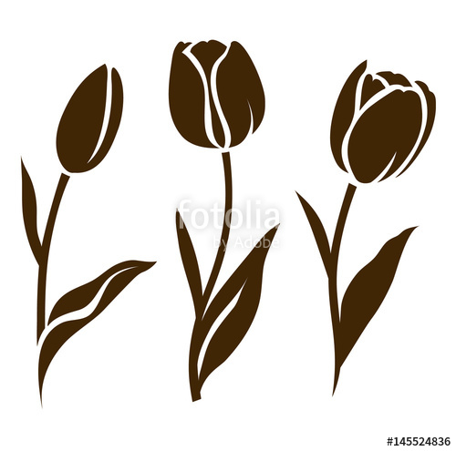 500x495 Set Tulip Silhouette. Vector Illustration. Collection