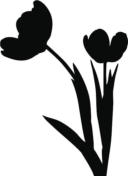 444x612 Tulip Clipart Silhouette