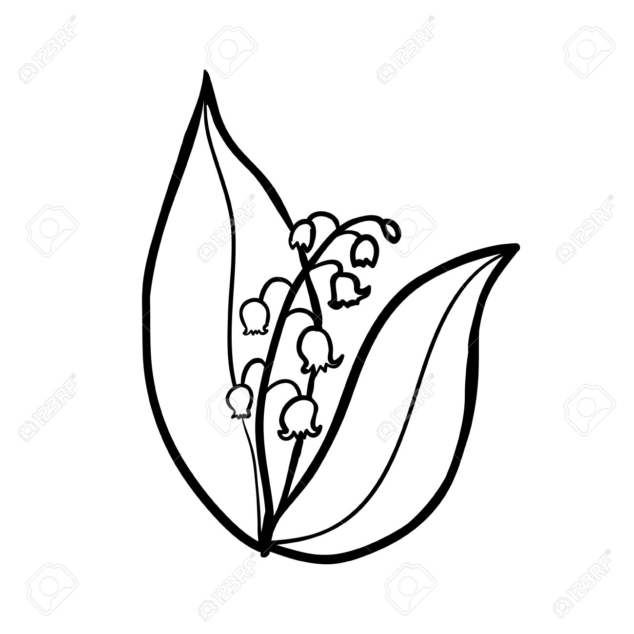 1300x1300 Drawn Lily Silhouette