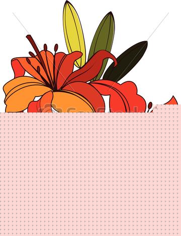 360x470 Bright Orange, Scarlet Lily Flower With Green Leaves Vector