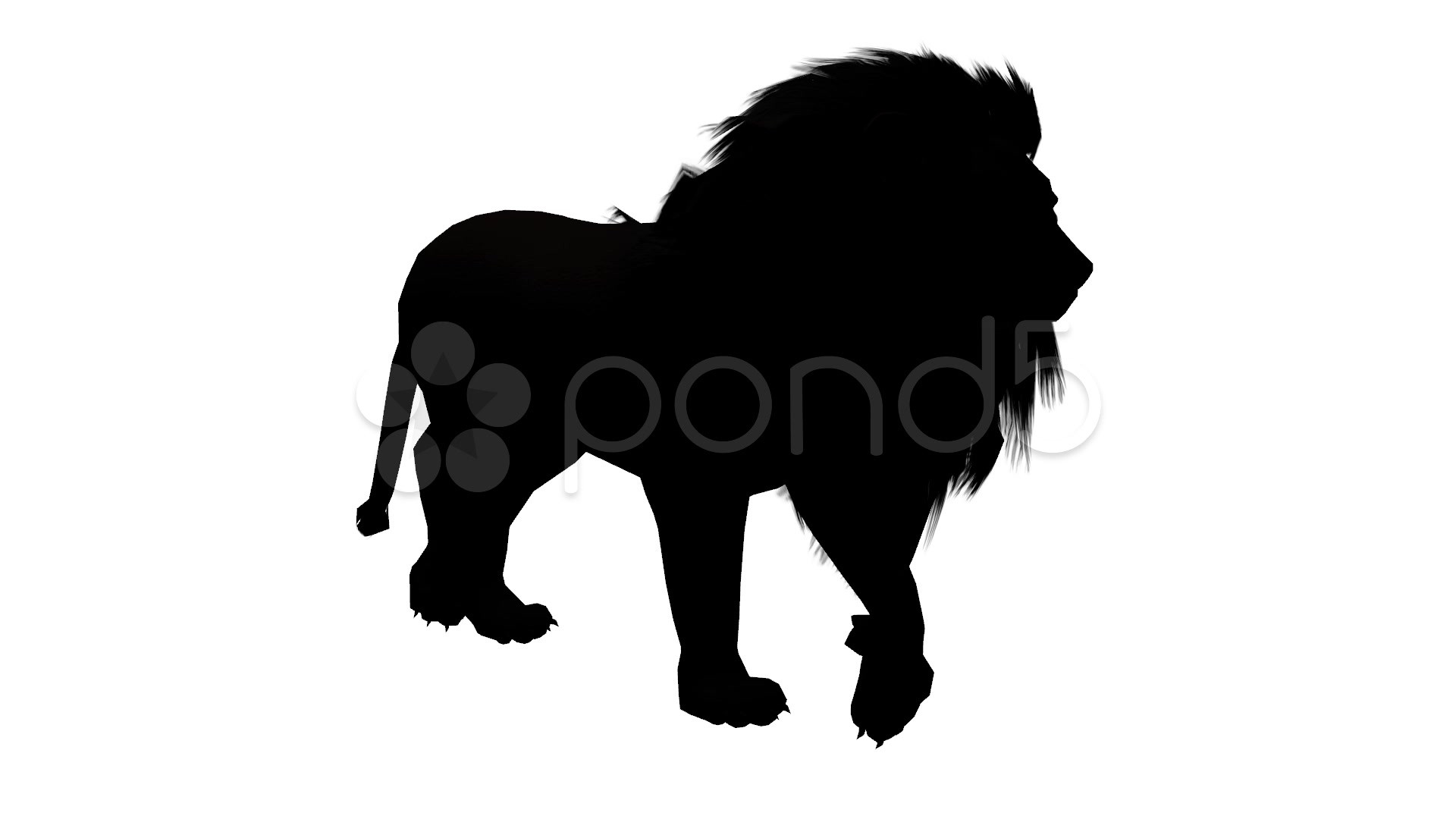 1920x1080 Lion Fast Walk,endangered Wild Animal Wildlife Walking Sketch