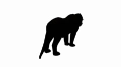 240x134 Lion Jump To Attack Bite,endangered Wild Animal Wildlife Sketch