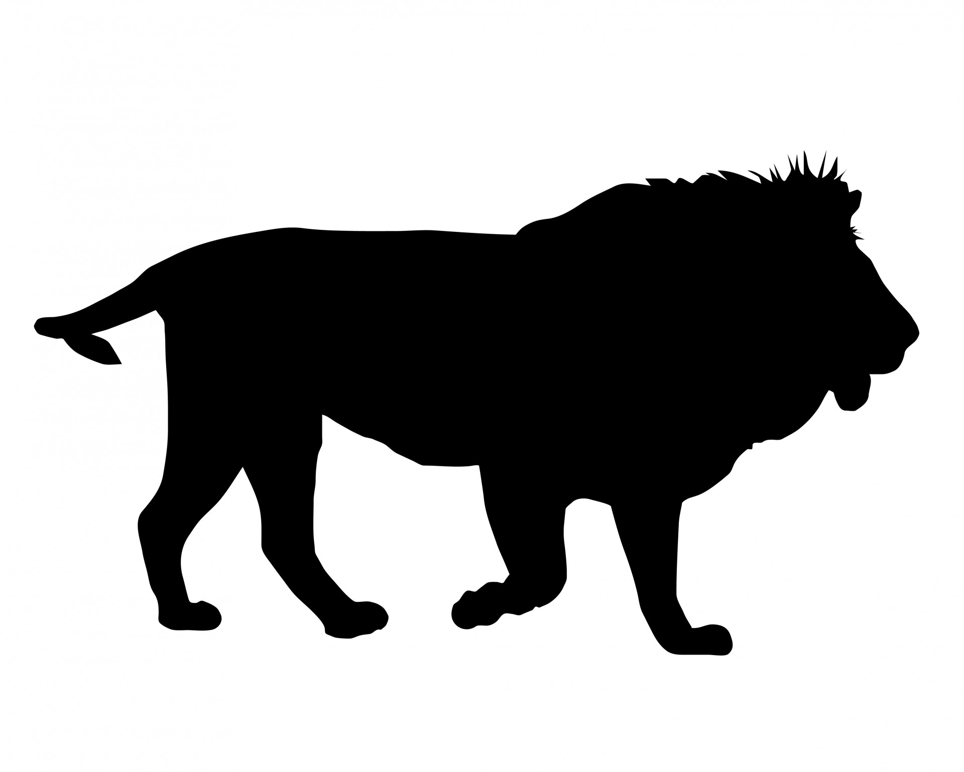 1920x1538 Lion Black Silhouette Free Stock Photo