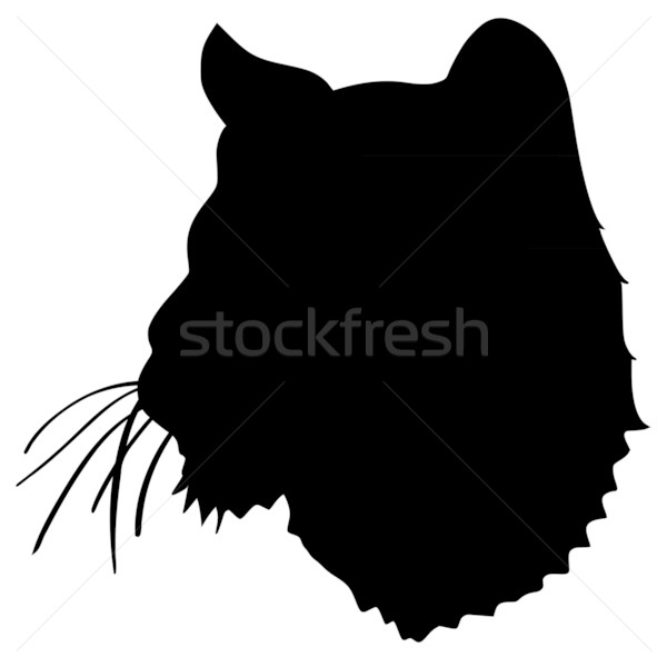 600x600 Lioness Stock Vectors, Illustrations And Cliparts Stockfresh