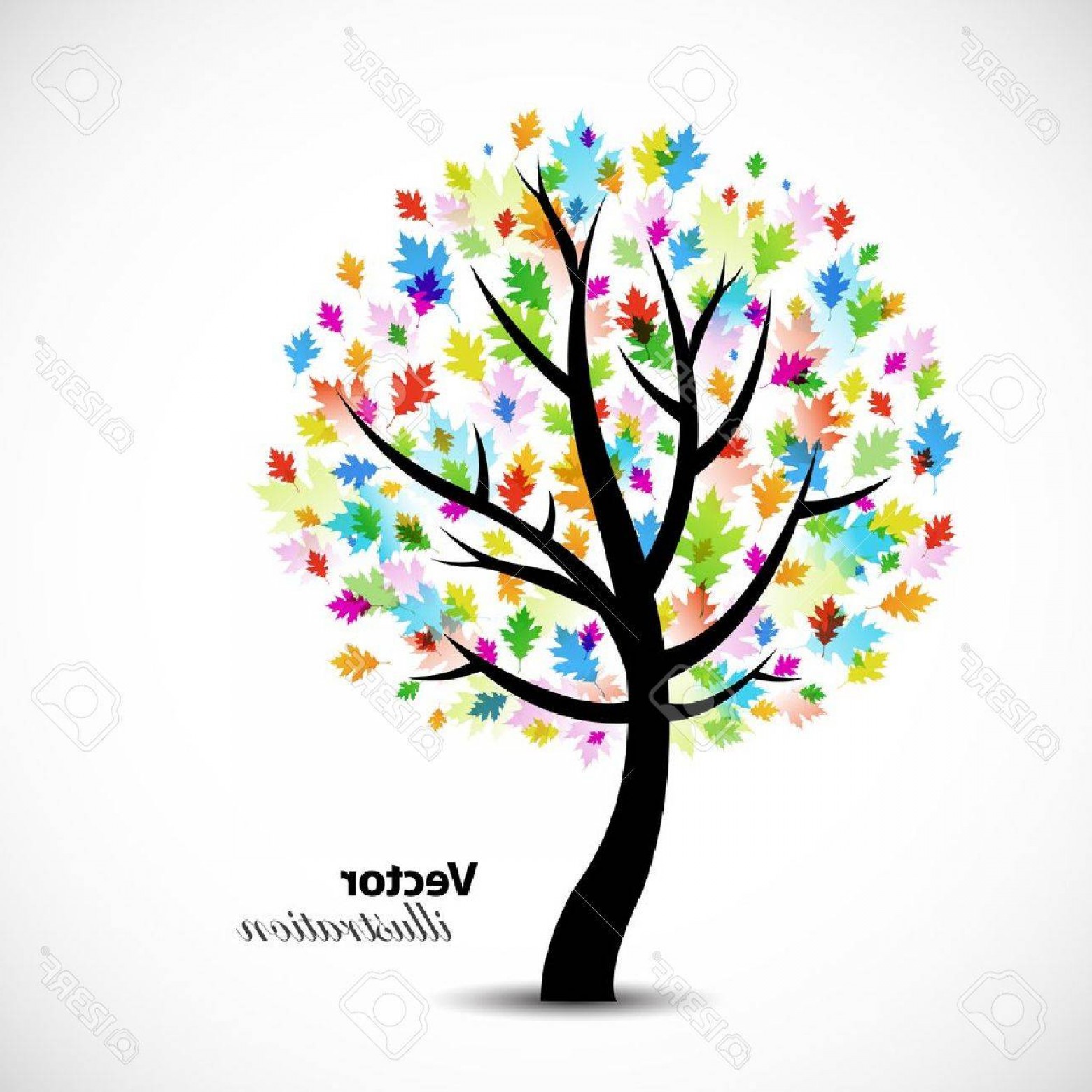 1560x1560 Live Oak Tree Vector Graphic Sohadacouri
