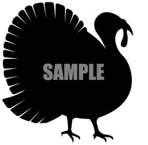 300x294 Live Turkey Clipart