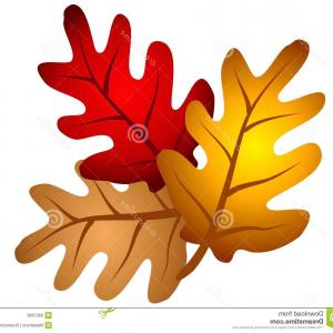 300x300 Photobig Green Oak Tree Vector Illustration Sohadacouri