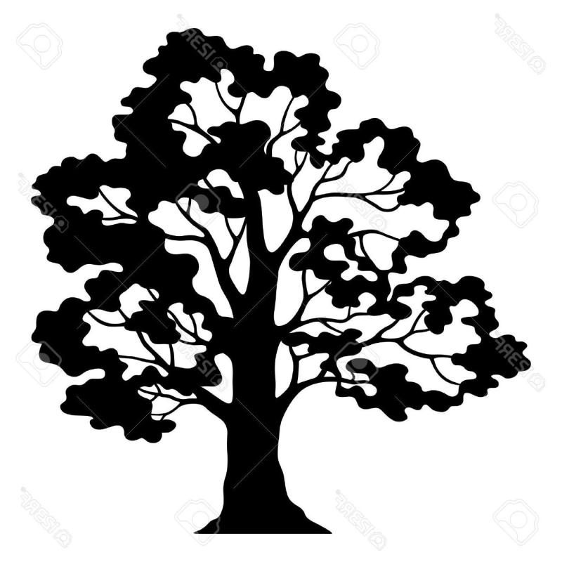 800x800 Oak Tree Silhouette Clip Art Free