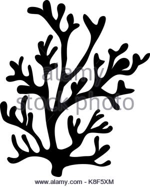 300x374 Red Algae Silhouette Vector Symbol Icon Design. Beautiful Stock