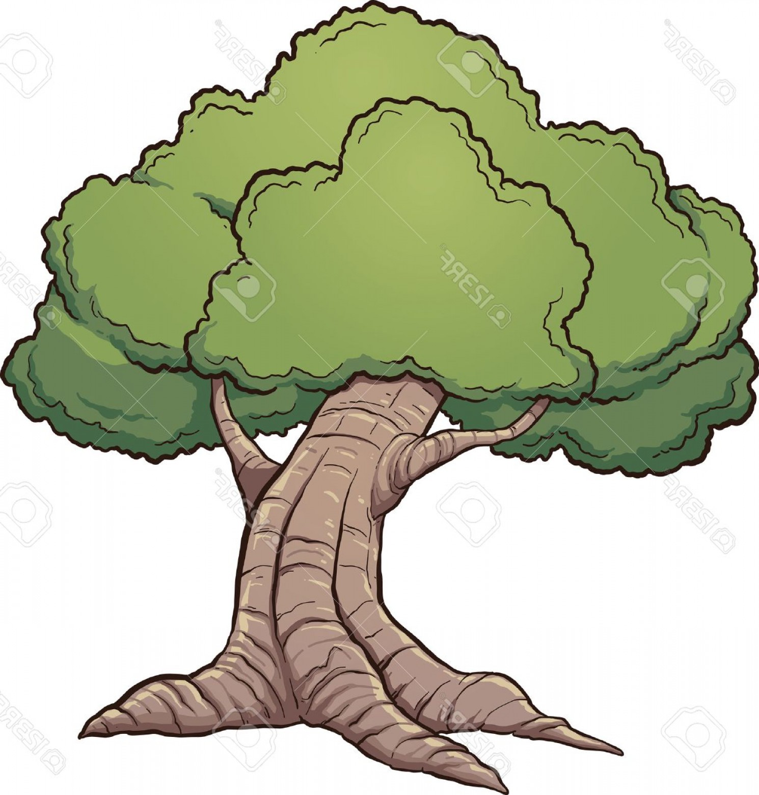 1490x1560 Live Oak Tree Vector Graphic Sohadacouri