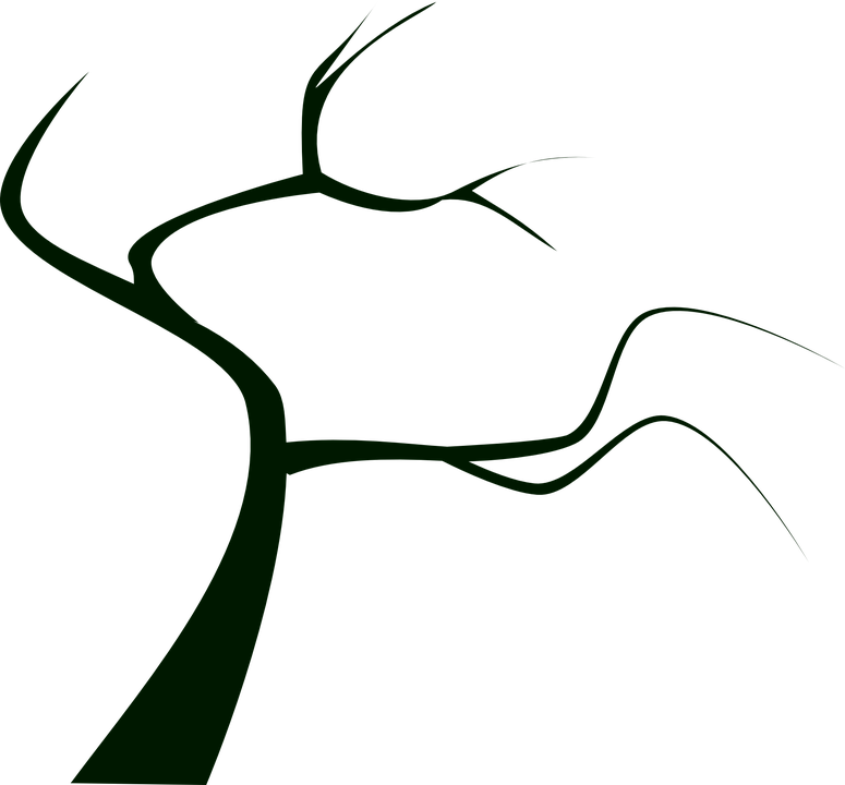 775x720 Dead Tree Clipart Branchy