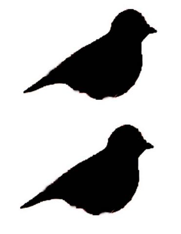 371x480 Fototime Slideshow Bird Silhouette 2 From Brown Living Room Art