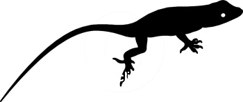 Lizard Silhouette Clip Art at GetDrawings | Free download