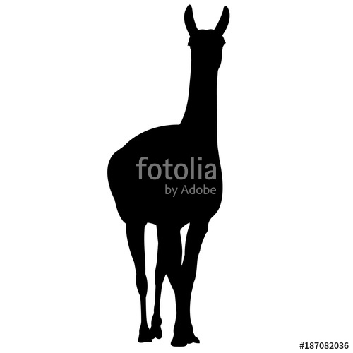 500x500 Llama Silhouette Vector Graphics Stock Image And Royalty Free