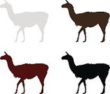 158x135 Llama Doodle Stock Vectors