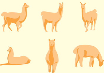 352x247 Llama Vector Free Vector Download 353693 Cannypic