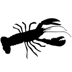 240x240 Lobster Silhouette Vector Graphics