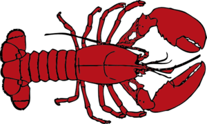 300x180 Lobster Outline Clip Art