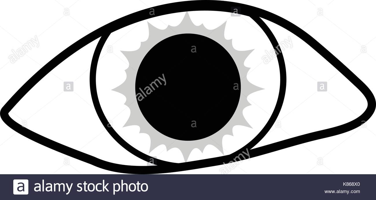 1300x691 Eye Silhouette Vector