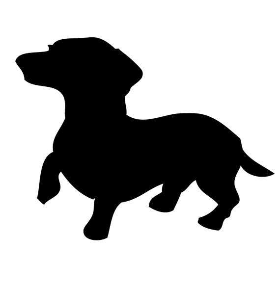 570x587 Long Haired Miniature Dachshund Clipart