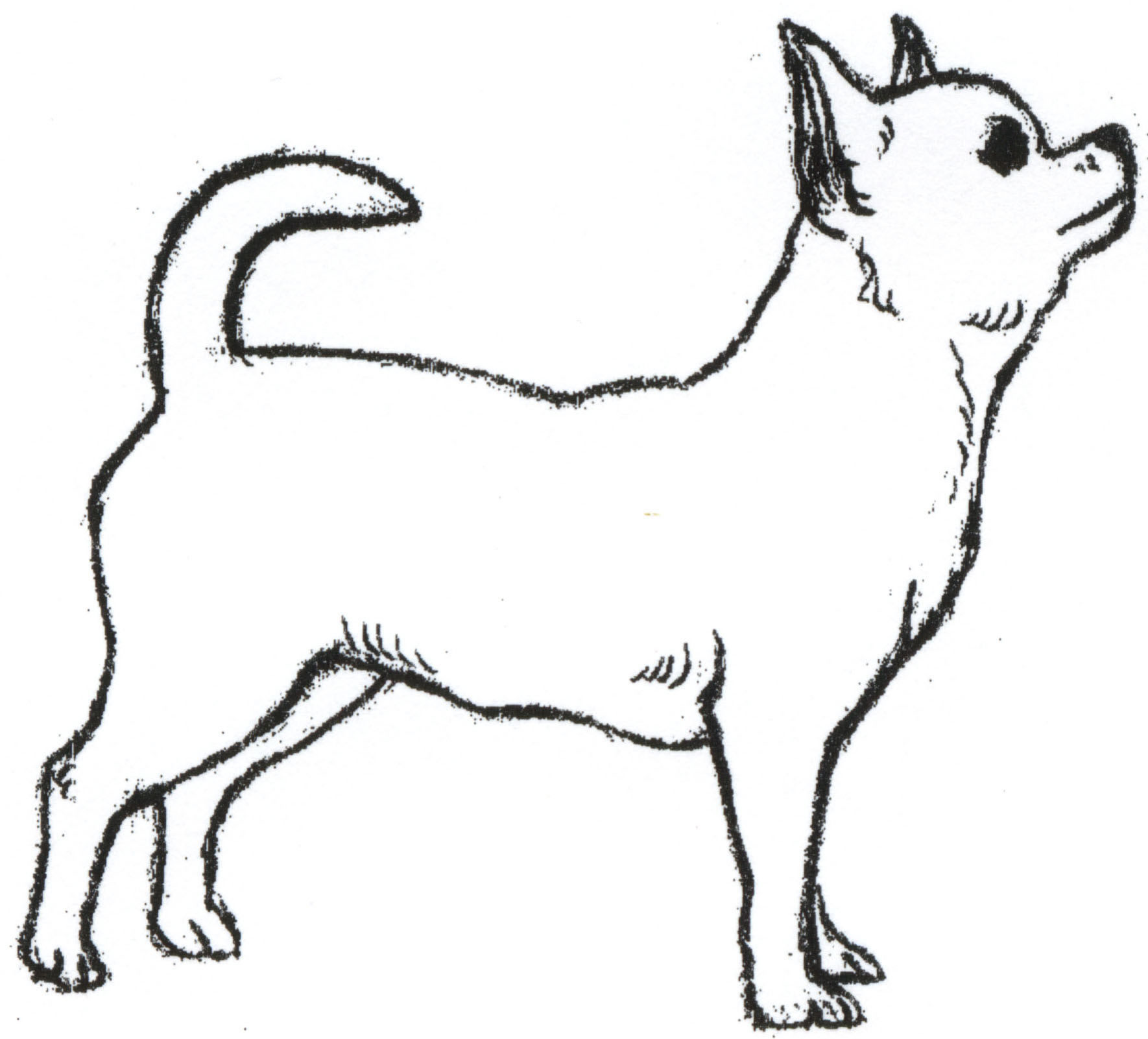 1770x1602 Small Clipart Chihuahua