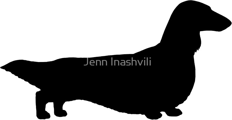 800x416 Long Haired Dachshund Silhouette Stickers By Jenn Inashvili