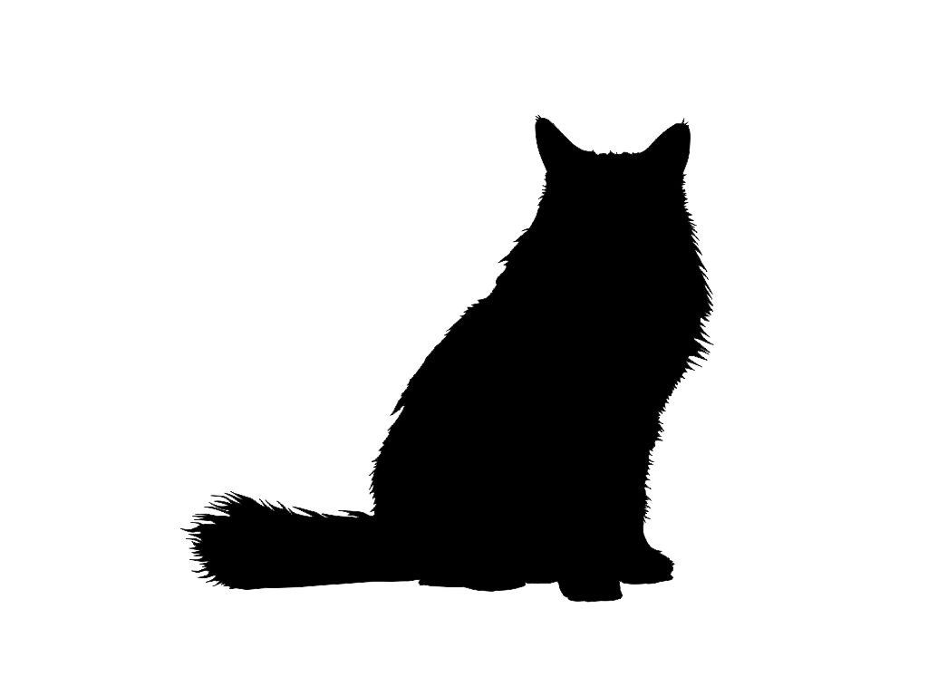 1024x768 Long Haired Cat Silhouettes