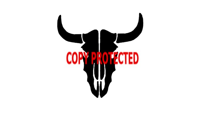 700x417 Skull Silhouette