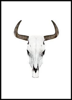236x327 Cow Skull Pencil Drawing