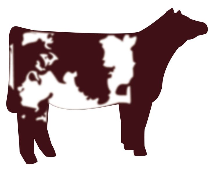 736x588 Steer Silhouette
