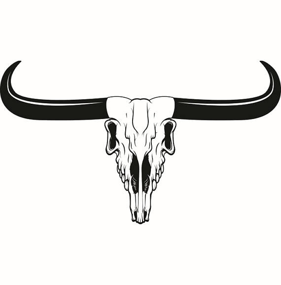 570x577 Bull Skull