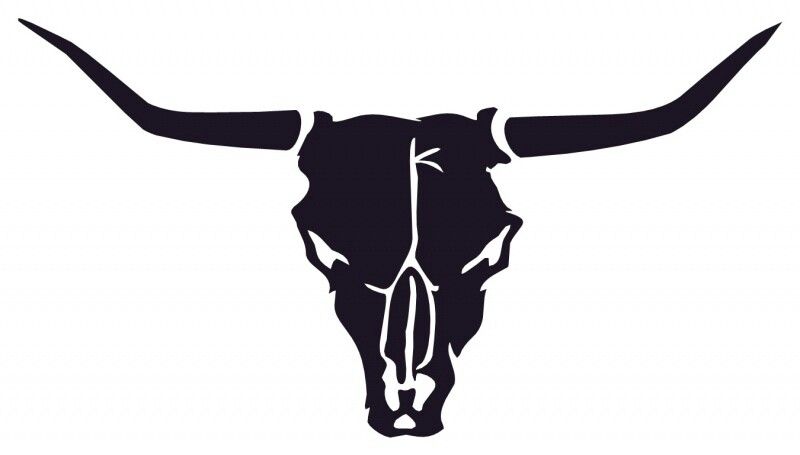 800x455 Bull Skull Tattoo Bull Skulls, Tattoo And Stenciling